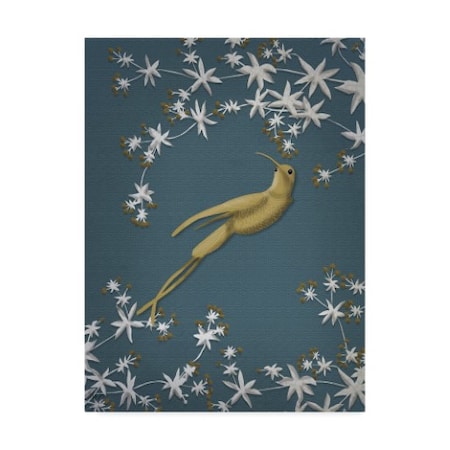 Fab Funky 'Golden Hummingbird 2' Canvas Art,24x32